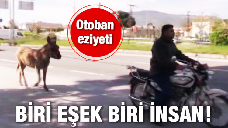 HİÇ UMURSAMADI