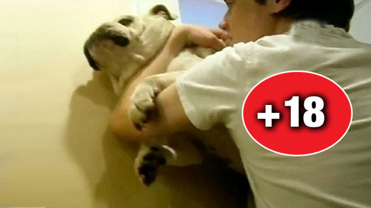 İŞKENCECİ KARDEŞLER İÇİN İMZA KAMPANYASI