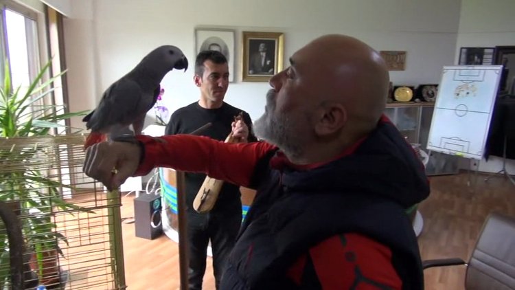 Hikmet Karaman horon tepti