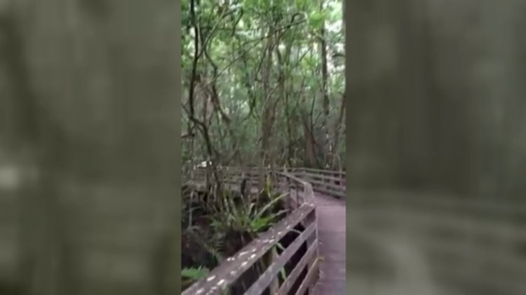 Karşınıza çıksaydı ne yapardınız ?