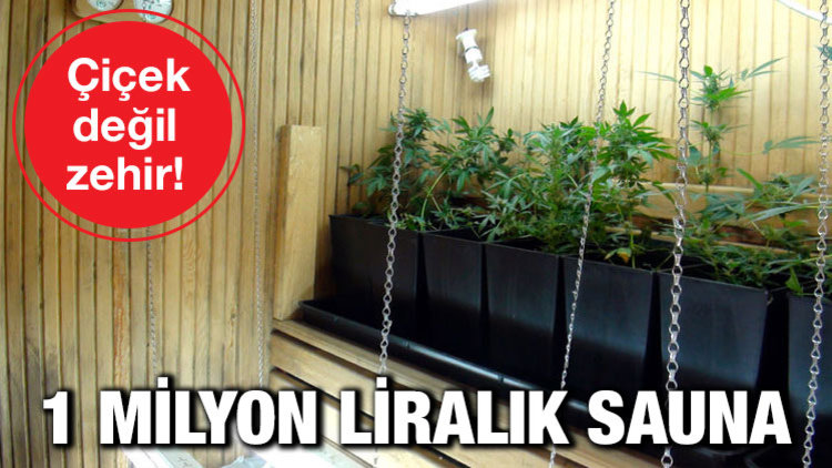 ZEHİR TACİRLERİ YAKALANDI