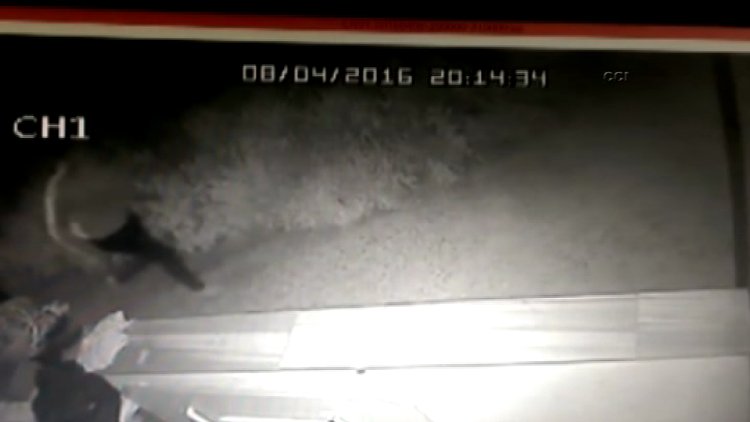 6 yaşındaki kuzenine tecavüz edip öldüren zanlı kamerada