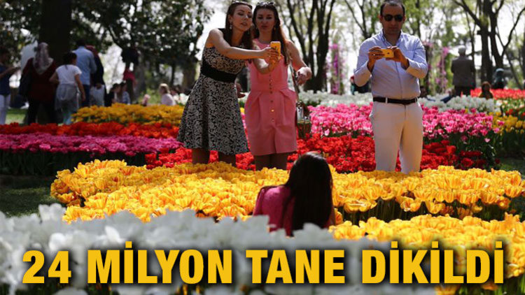 İSTANBUL&#039;DA LALE ZAMANI