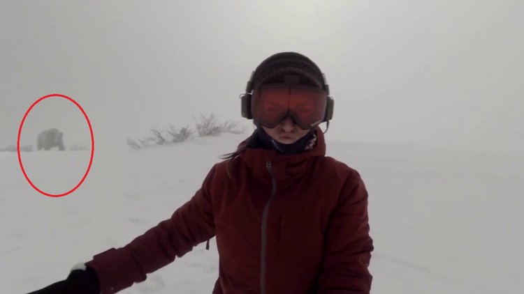 Müzik dinleyerek kayak yapan kızı bir ayının kovaladığı iddia edildi