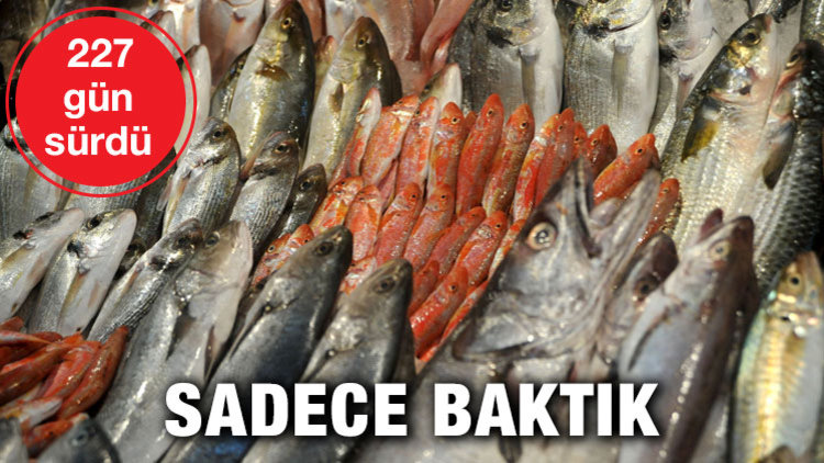 TUTAN DA SATAN DA ALAN DA İSYANDA