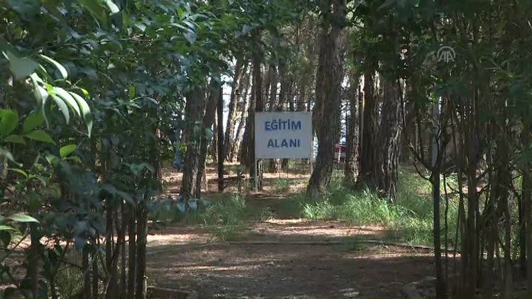 "Dedektör köpekler", güvenlik güçlerinin en büyük yardımcısı