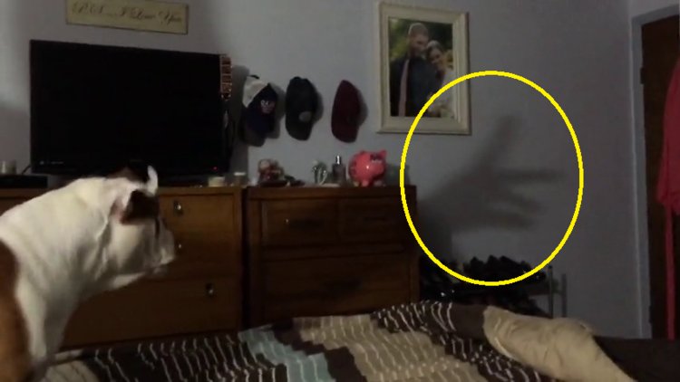 Gölgelerin gücü adına