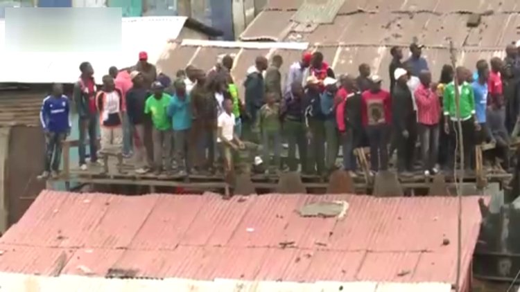 Tek istedikleri selden kaçmaktı!