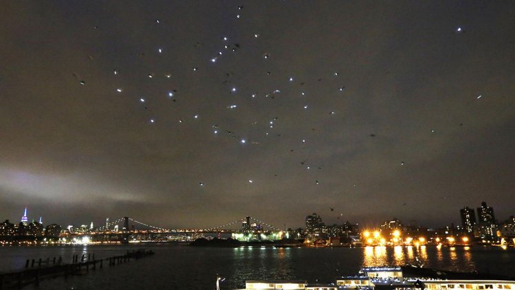 Gökyüzünde ışıktan canlı tablo!