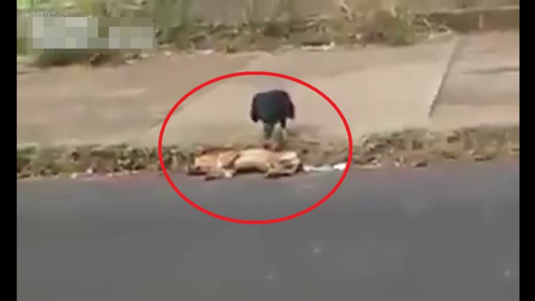 Neye uğradığını şaşırdı