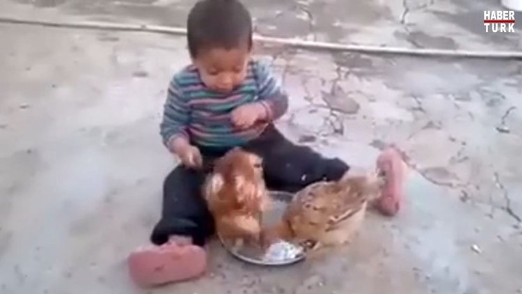 Yemeğini tavuklara kaptıran çocuğun mücadelesi