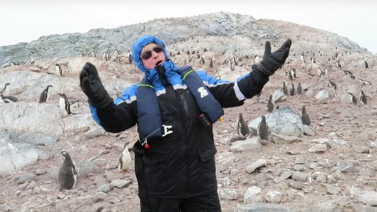 KUTUPTAN PENGUEN KAÇIRMA!