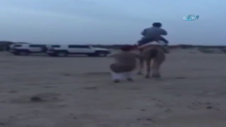 Deveden unutulmaz ders