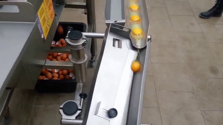 Yumurta kırma makinesi