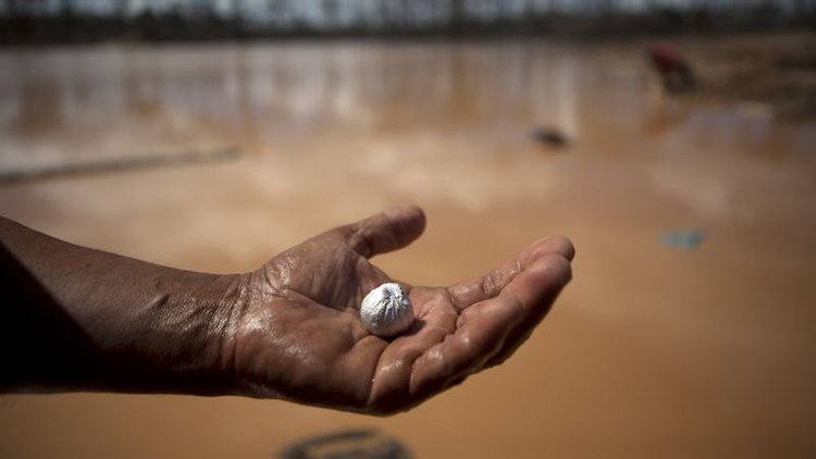 50 BİN KİŞİ ZEHİRLENDİ