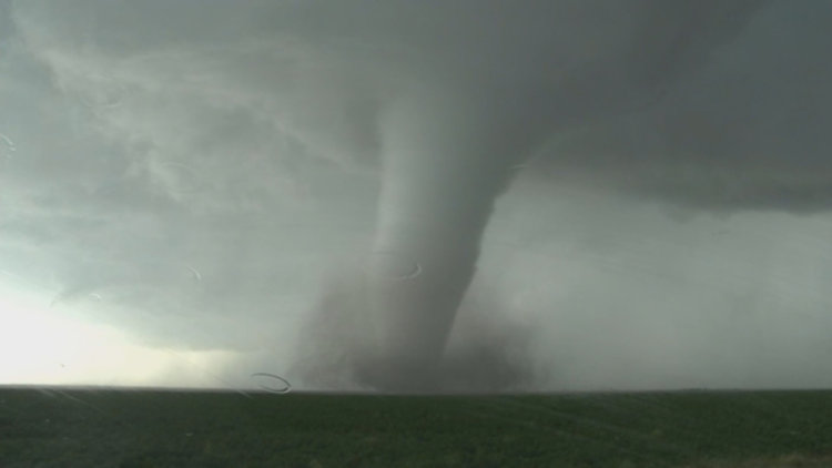 SIĞINAKLARA KOŞTULAR