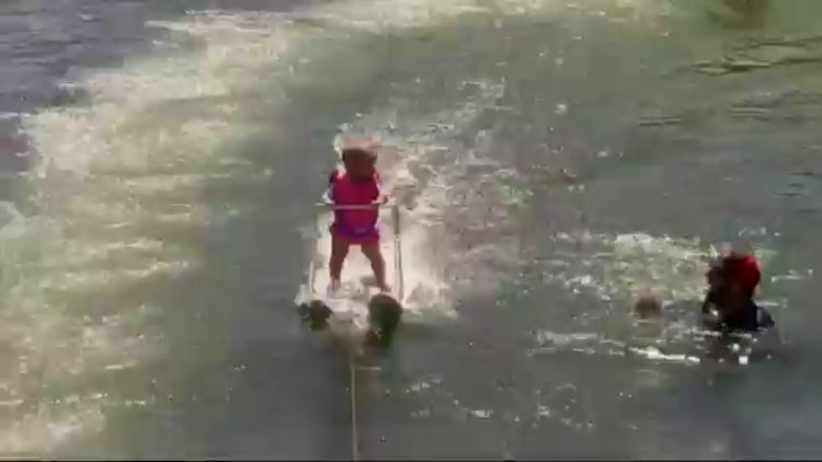 Yürümeyi öğrenmeden su kayağı yapan minik!