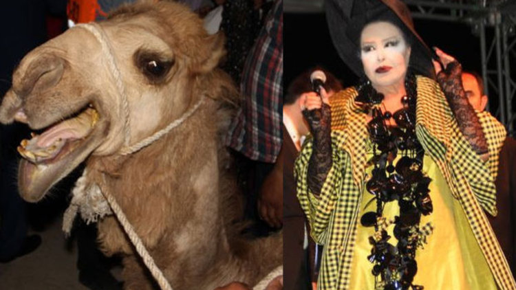 Sünnet düğününde para yağdı!