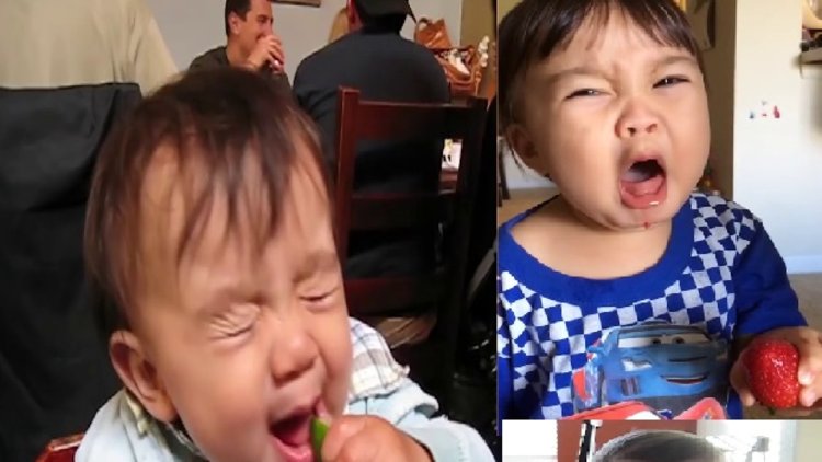 Ekşi yiyeceklerle yüzleri ekşiyen bebekler