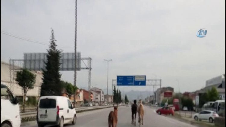 HİPODROM DEĞİL OTOYOL