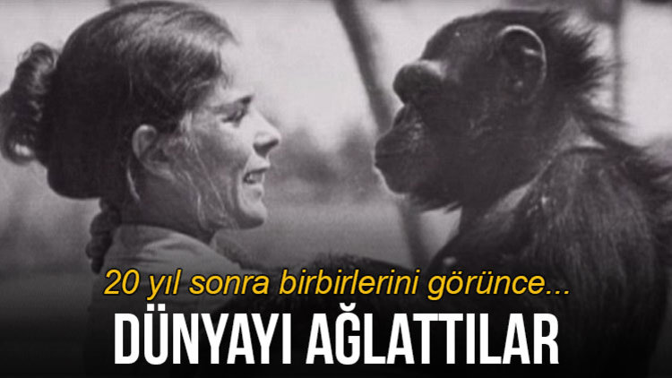 HAYATLARINI KURTARMIŞTI