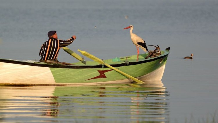 Balıkçı ile leyleğin 5 yıllık dostluğu