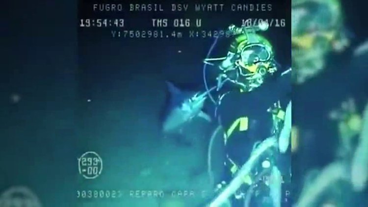 Okyanustaki saldırı anı kamerada