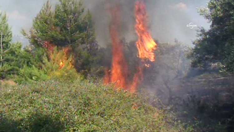 Söke'de orman yangını