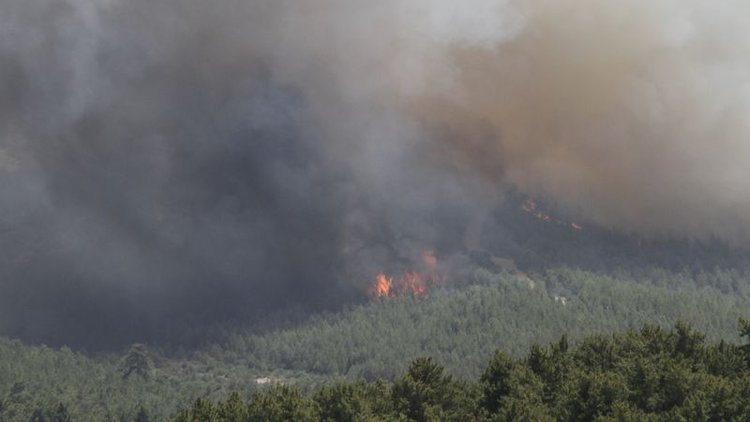 Adrasan ve Olimpos'ta yangın