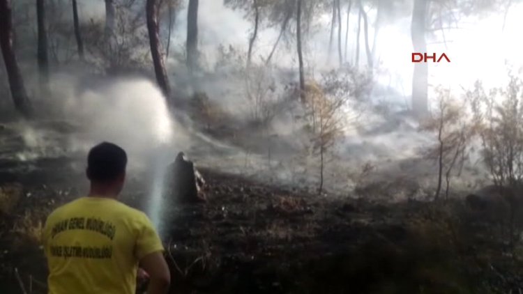 Antalya'daki orman yangını etkisini azalttı