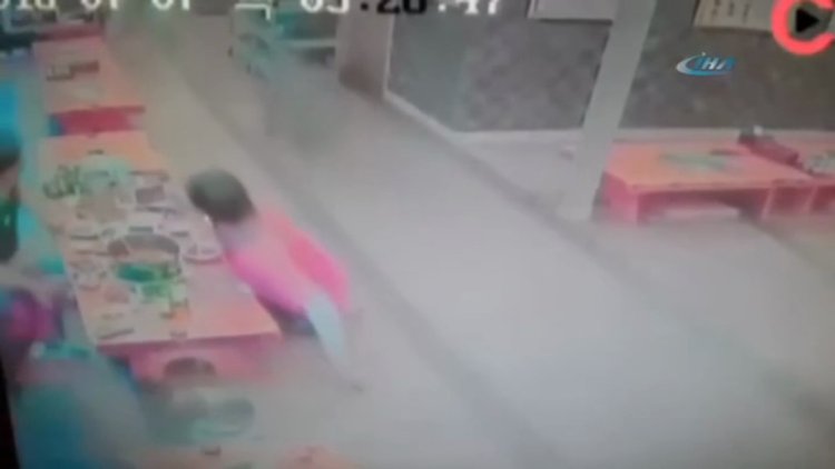 Yaban domuzu restorana daldı