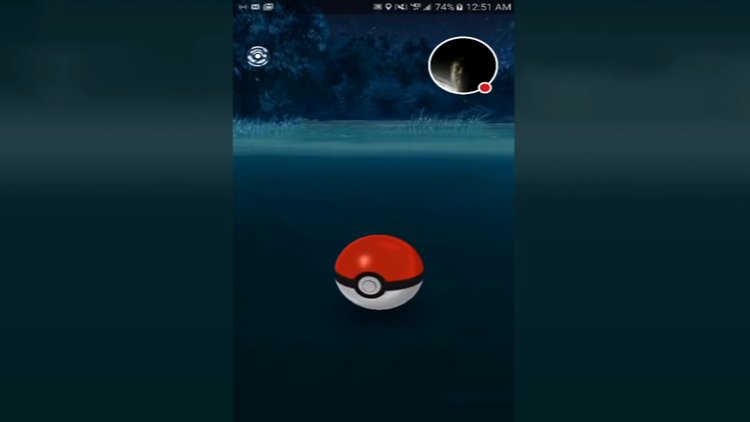 Pokemon GO oynarken göle düştü