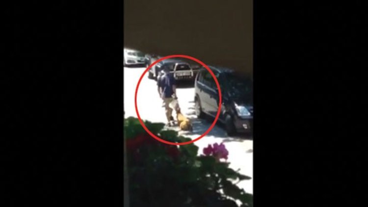 HASTA KÖPEĞE İŞKENCE