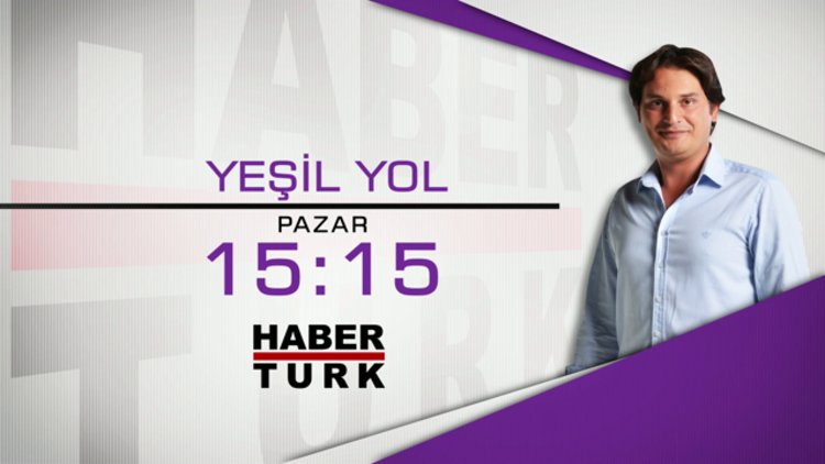 ARI HAKKINDA HER ŞEY