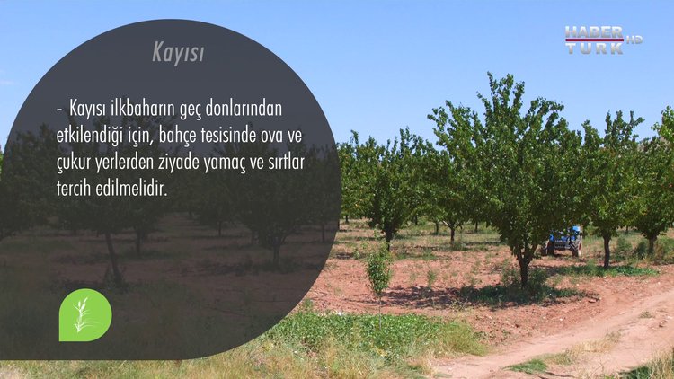 Yeşil Yol - 10 Eylül Cumartesi 