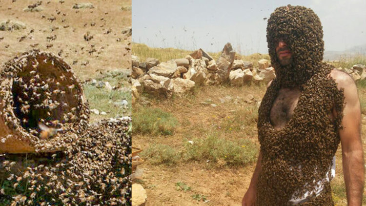 Arılarla Guinness'e girmek istiyor