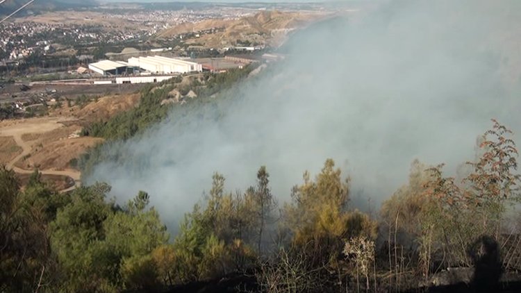 Karabük'te orman yangını
