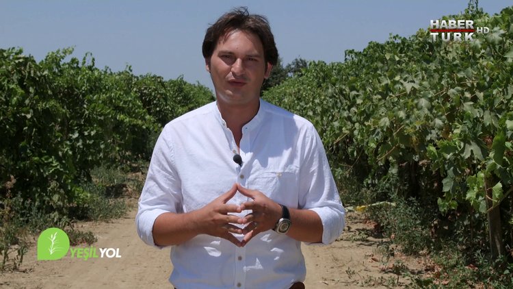 Yeşil Yol - 18 Eylül Pazar