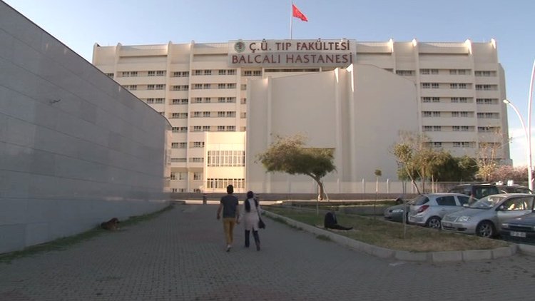 Yarasa ısırdı kuduz oldu