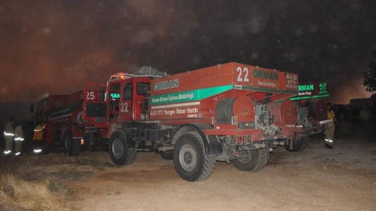 Mersin'de orman yangını