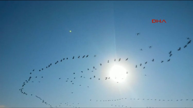 Balıkesir Göç yolundaki ışık UFO mu?