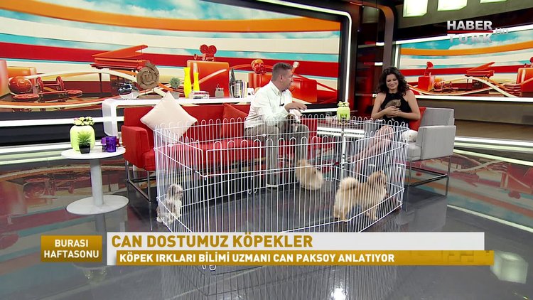 Burası Haftasonu - 2 Ekim 1. Bölüm