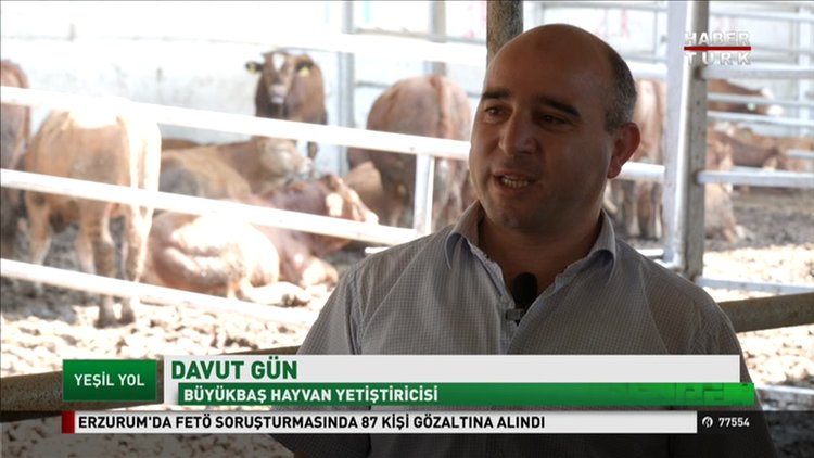 Yeşil Yol - 16 Ekim Pazar