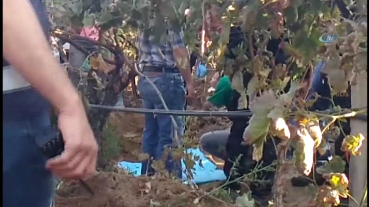 Irmak Kupal'ın cesedi bulundu
