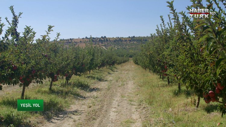 Yeşil Yol - 23 Ekim Pazar