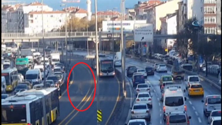Çırılpıçlak metrobüs yoluna atlayan vatandaş şoke etti