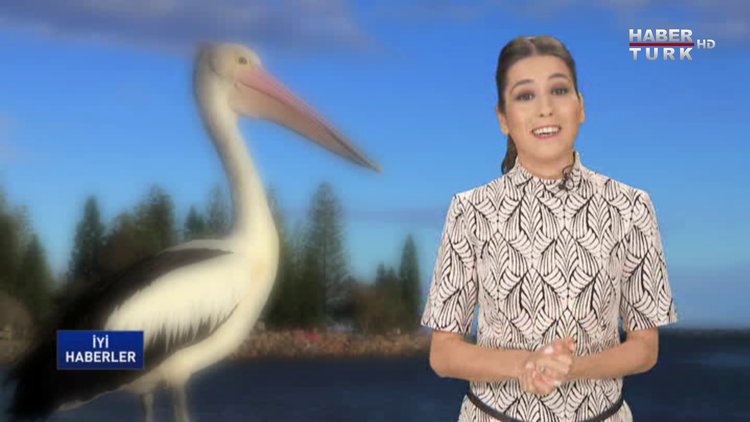 İyi Haberler - 5 Kasım 2016 