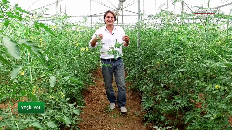 Yeşil Yol - 6 Kasım Pazar 