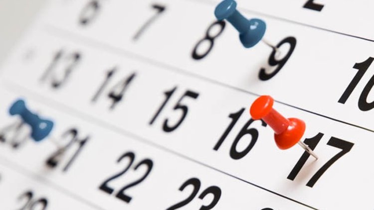 BU HAFTA NE YAPALIM?