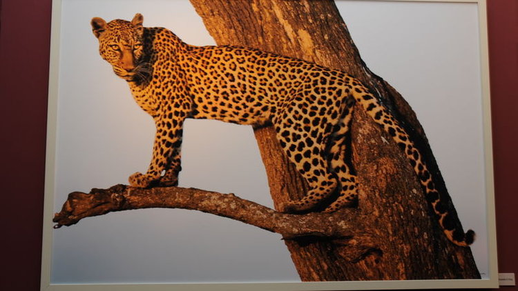 İLK O ÇEKTİ, TARİHE GEÇTİ